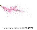 sakura flowers background.... | Shutterstock .eps vector #616215572