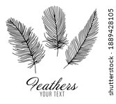 set of bird feathers. tribal... | Shutterstock .eps vector #1889428105