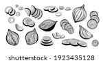 big vector set of onion... | Shutterstock .eps vector #1923435128