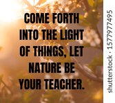 Small photo of Come forth into the light of things, let nature be your teacher.