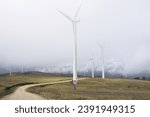 Small photo of Solitary tree in wind farm - Isolated in the wind farm of Galicia, a solitary tree becomes a focal point