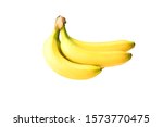 banana on white background... | Shutterstock . vector #1573770475