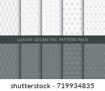 luxury geometric vector... | Shutterstock .eps vector #719934835