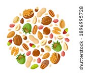 cartoon seeds and nuts. almond  ... | Shutterstock .eps vector #1896995728