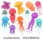 Cartoon Ocean Jellyfish. Marine ...
