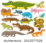 Reptiles and amphibians. Cartoon frog, chameleon, crocodile, lizard and turtle, wildlife animals vector illustration set. Serpent, reptile and amphibians. Frog and chameleon, turtle and crocodile