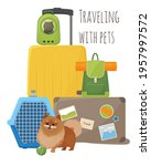 Traveling With Pets. Suitcases  ...