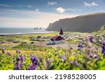 Beautiful scenery of Reyniskirkja church with Lupine flower blooming near mountain and the beach on summer in Vik Town at South of Iceland