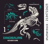 dinosaurs fossils and bones... | Shutterstock .eps vector #2134722625