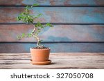 Small Decorative Tree On Wooden ...