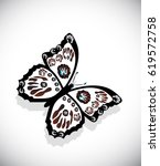colorful butterfly isolated on... | Shutterstock . vector #619572758