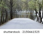 Spring flood on a river in Europe as a result of seasonal snowmelt and groundwater rise, flooding of a highway. High quality photo