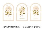 vector feminine logo design... | Shutterstock .eps vector #1960441498