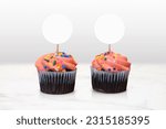 Small photo of Closeup of two feisty pink frosted chocolate cupcakes resting in a classy minimalist kitchen scene.