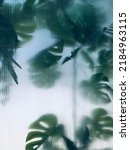 Small photo of tropical monstera behind frosted glass blurred background