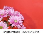Pink small chrysanthemums with...