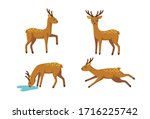 Set Of Four Deers For Cute...