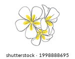 frangipani or plumeria tropical ... | Shutterstock .eps vector #1998888695