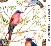 Watercolor Birds On The...