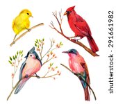 Watercolor Bird Set  Red...