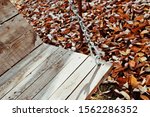Small photo of waggle with swing in autumn