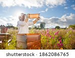 Wide shot of a beekeeper holding the beehive frame filled with honey against the sunlight in the field full of flowers