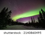 Northern Lights In The Boreal...