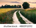 Summer landscape with country, floral  road between fields. Masuria, Poland.