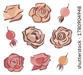 rosehip and roses vector set.... | Shutterstock .eps vector #1780904948