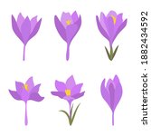 Set Of 6 Spring Flowers. Purple ...