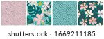 collage contemporary floral and ... | Shutterstock .eps vector #1669211185