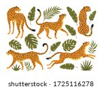 Vector Set Of Leopards Or...