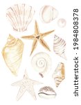 Watercolor Seashell...