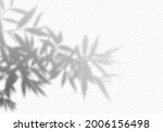 vector shadow of plant leaf.... | Shutterstock .eps vector #2006156498