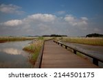 Spring view of wood deck trail surrounded by wetland with reed and suaeda japonica against cumulus in the sky at dinosaur egg fossils site near Hwaseong-si, South Korea 
