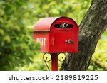 Small photo of Yongin-si, Gyeonggi-do, South Korea - June 17, 2020: A mother great tit is passing through entrance of unused red mailbox against forest