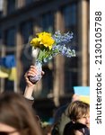 Small photo of Amsterdam, Netherlands - 02 27 2022: Person holding a jar of Ukraine fag colored flowers in a peaceful protest against the russian invasion of Ukraine. (vertical format)