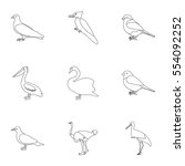 Bird Set Icons In Outline Style....