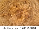 Small photo of Cross-section of acacia tree with annual growth rings (annual rings). Full frame of wood slice for background