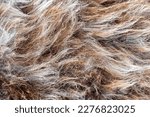 Animal pelt. Sheepskin. Natural fur texture. Shades of the brown background