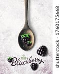 vector realistic blackberry... | Shutterstock .eps vector #1760175668