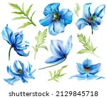 Collection Of Blue Botanical...