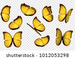 butterfly set. yellow isolated...
