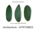 leaves from the tree. set of... | Shutterstock .eps vector #1470728822