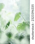 Small photo of Green plants in fog with stems and leaves behind frosted glass