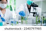 Small photo of Close up of scientist is picking, working and comparing a plant or herb in test tube or glassware. Natural product and organic cosmetic health care. eco laboratory microbiology. Experiment test.