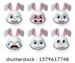 Emoticon Rabbit Face Vector Set....