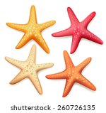Realistic Colorful Starfish Set ...