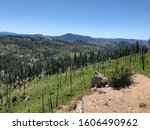 Ochoco National Forest and Stein