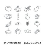 vegetables in design hand drawn ... | Shutterstock .eps vector #1667961985